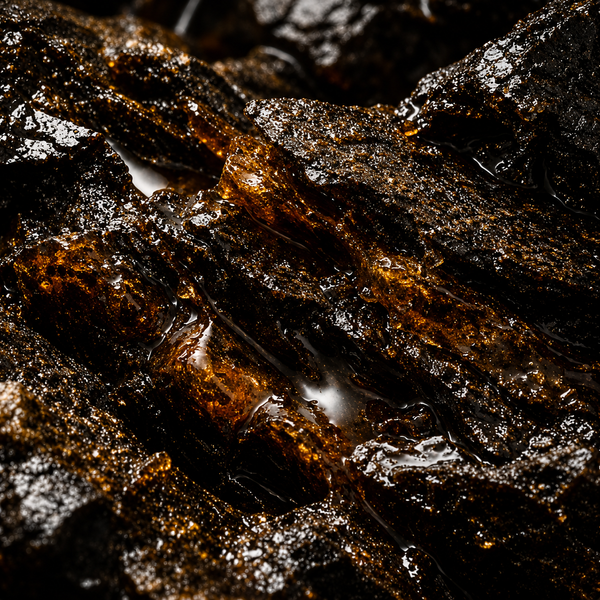 Highest Shilajit Quality